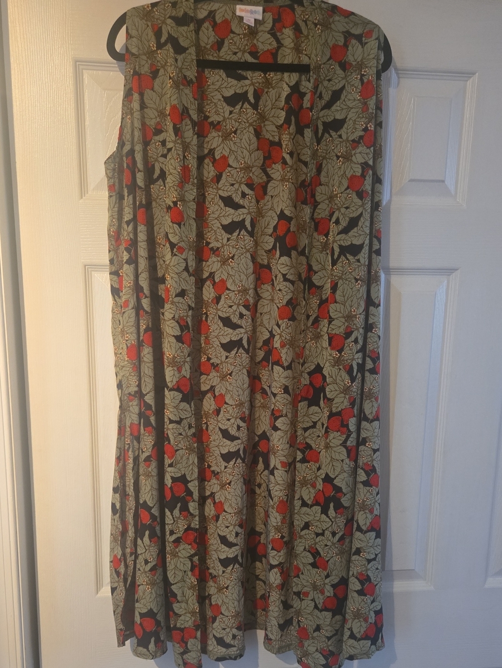 LulaRoe JOY Vest Floral Print Red & Green